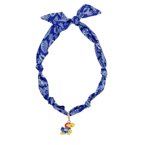 College Bandana Scarf Necklace w/Charm