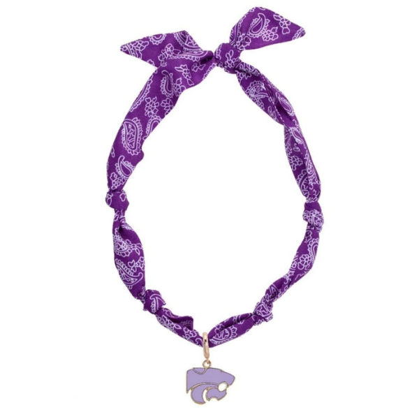 College Bandana Scarf Necklace w/Charm
