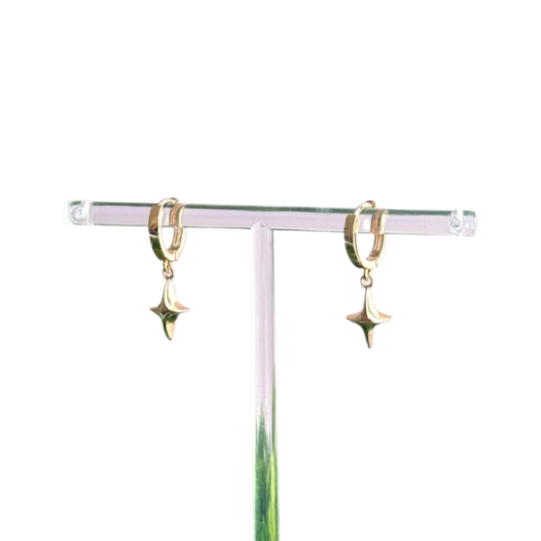 Selene Star Huggie Hoop Earrings