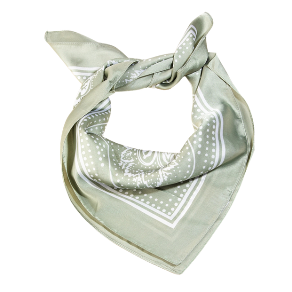Paisley Print Scarves