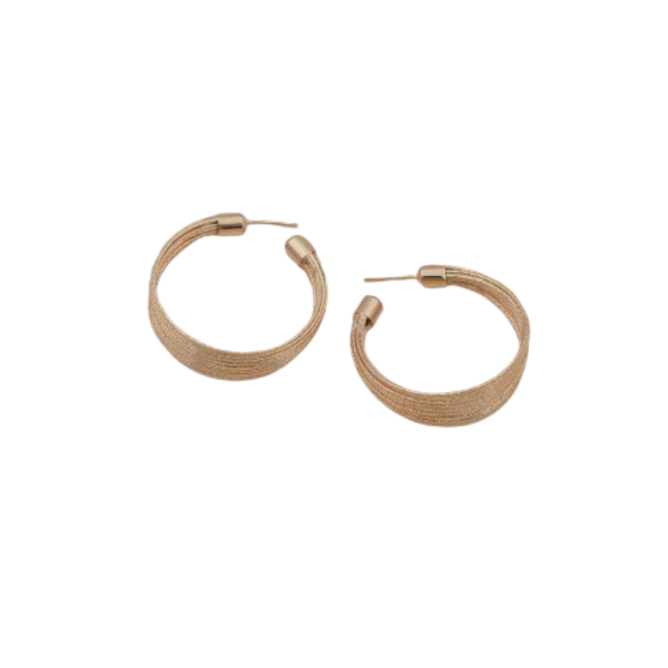 Multilined Gold Hoop Earrings