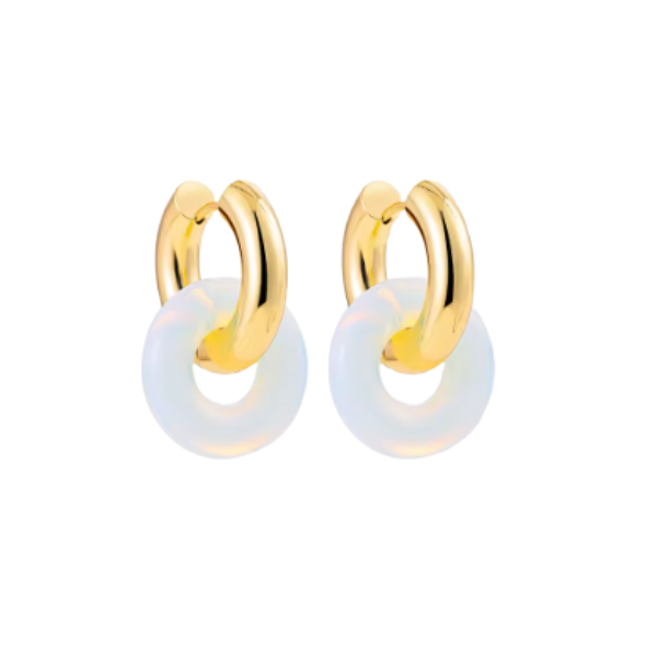 Circle Charm Clicker Hoop Earrings
