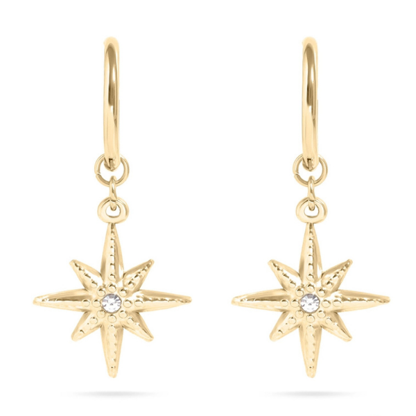 18K Gold Pvd Huggie with Compass Charm Earrings