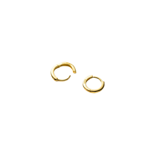 Gold Hoop Earrings