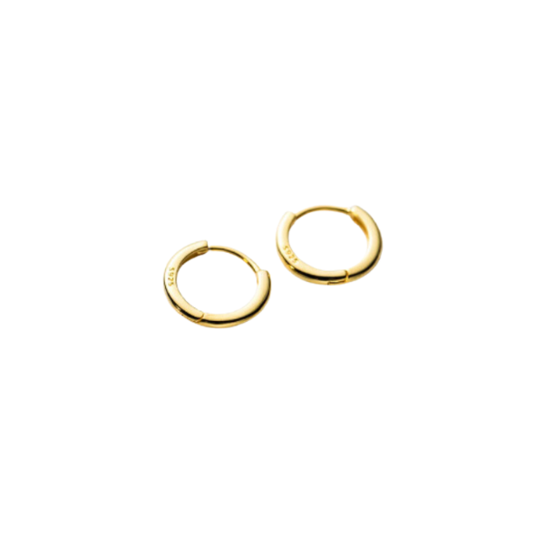 Gold Hoop Earrings