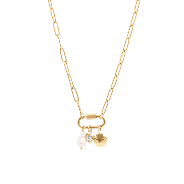 18K Gold Pvd Stainless Steel Carabiner Necklace