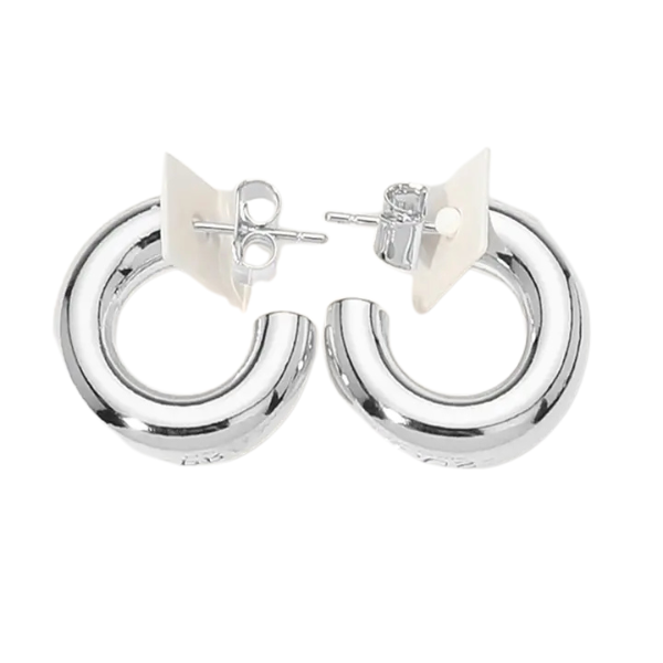 Everyday Chunky Hoop Earrings